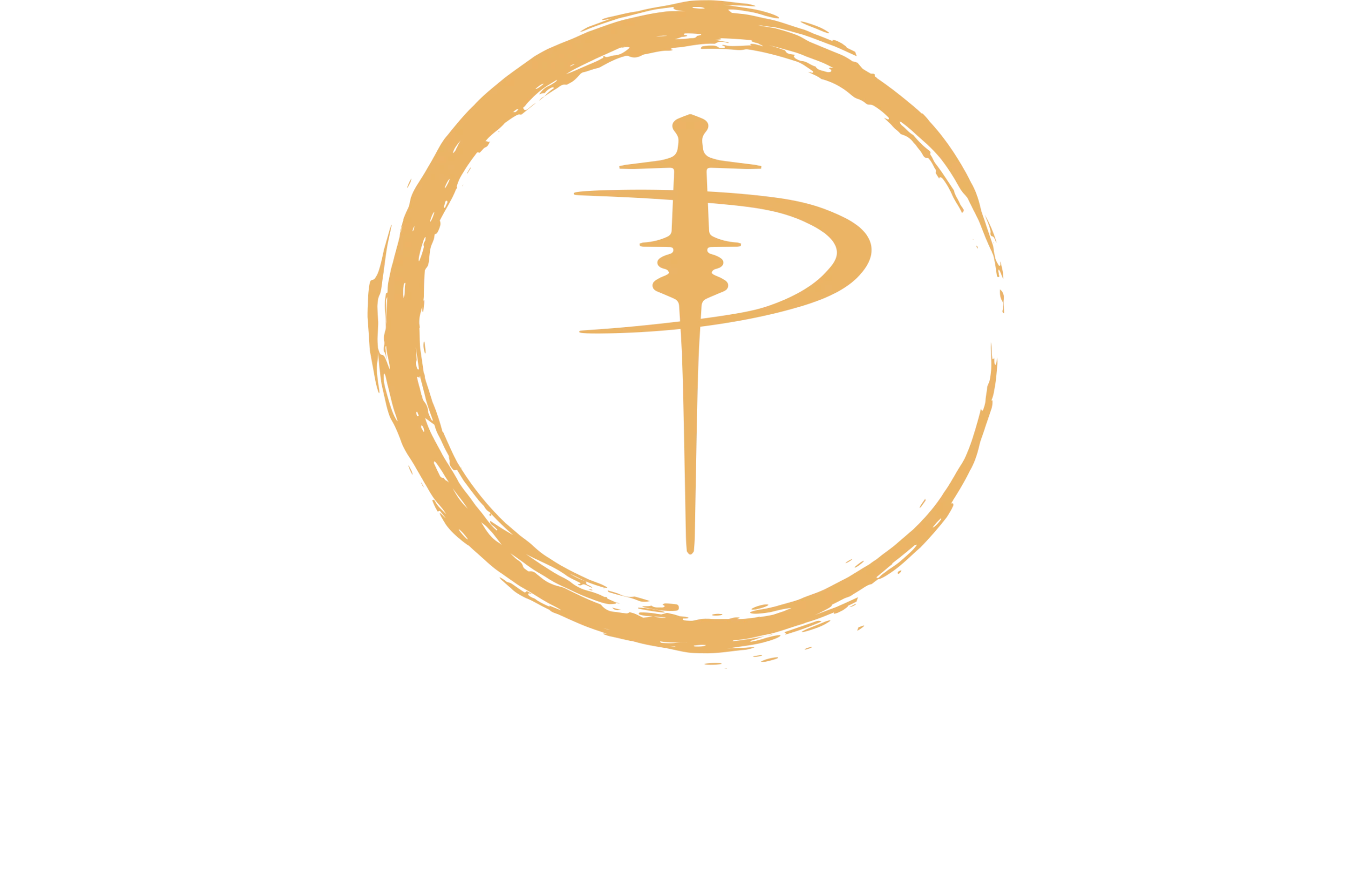 ITALIAN CONCEPT FRANCHISING PARRUCCHIERI